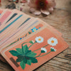 Wildflower Cards & Guidebook | Conscious Craft